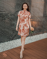 Vintage CNY dress