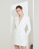 Power dress suit