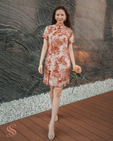 Vintage CNY dress