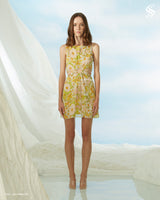 CARA DRESS